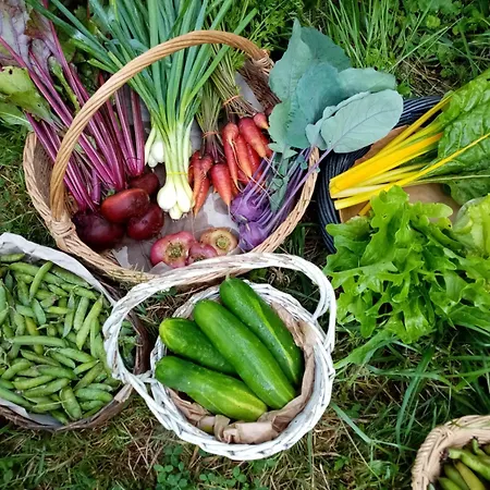 Ricouch, D'hotes Et Permaculture Ubytování v soukromí Momuy