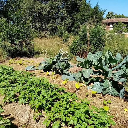 Ricouch, D'hotes Et Permaculture * Momuy